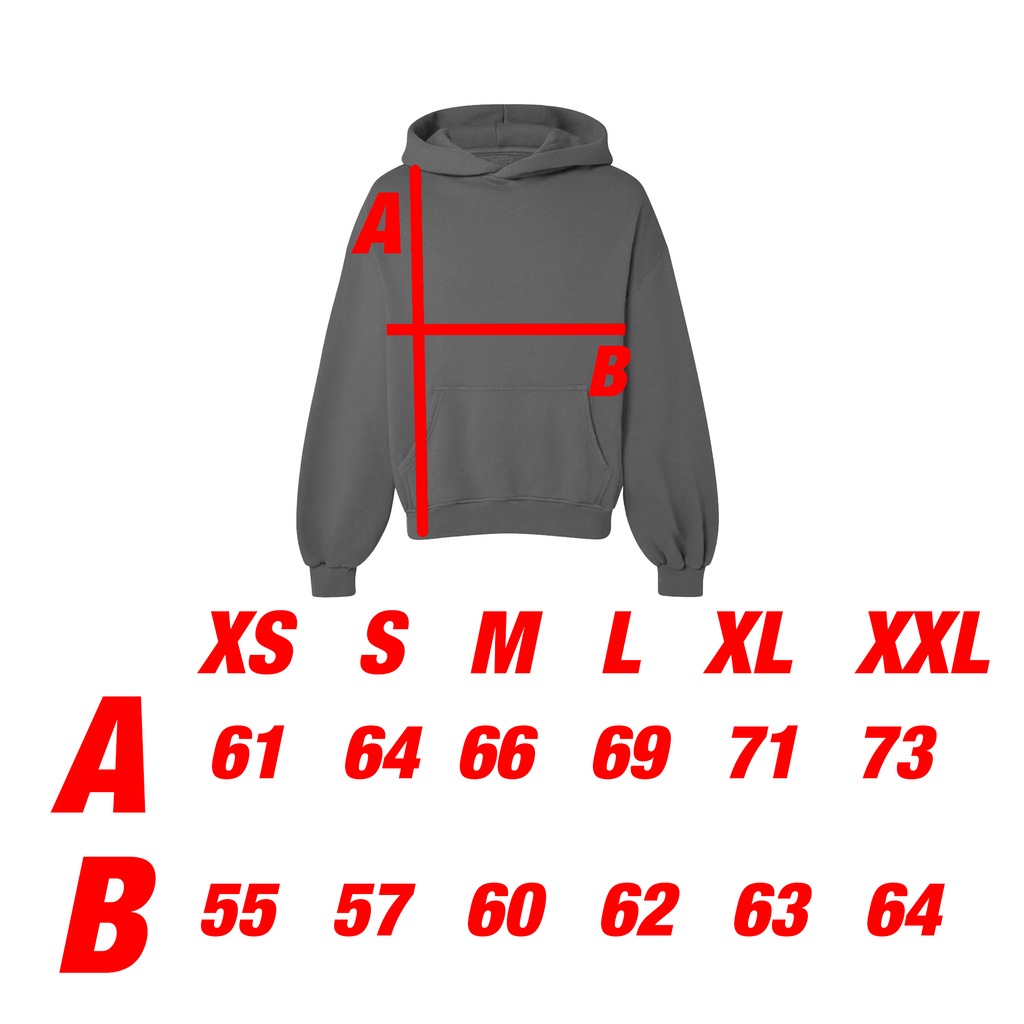 GREY PUFF NTM HOODIE